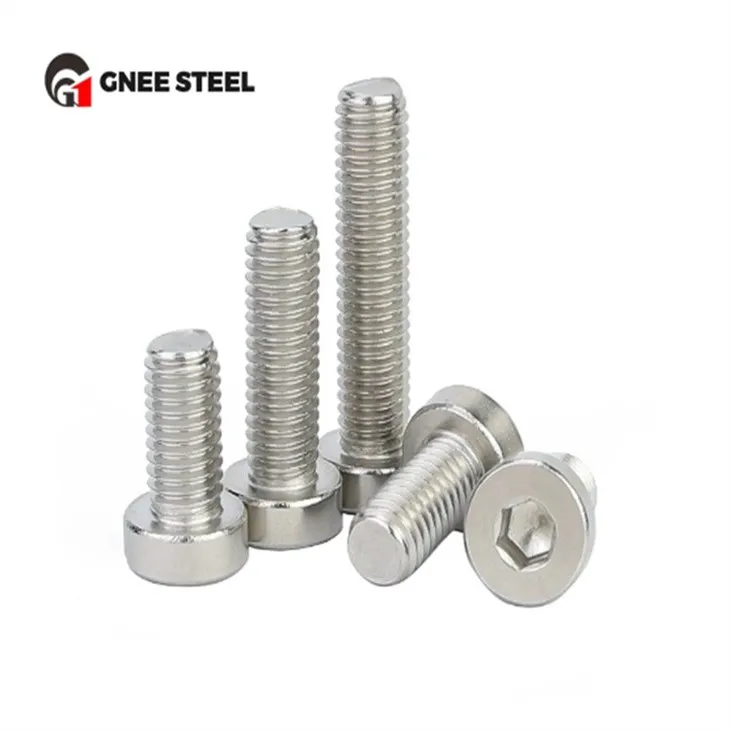 A4-70 A4-80 Stainless Steel Hex Bolt