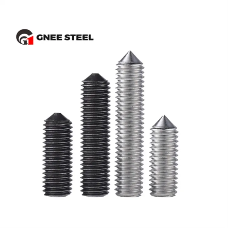 Parafusos de fixação em aço inoxidável DIN915 DIN916